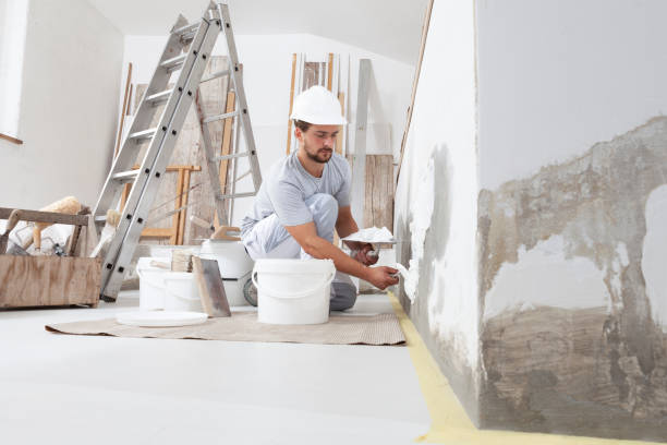 Best Water-Damaged Drywall Repair  in Forest View, IL